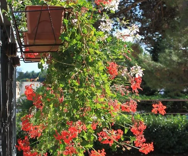 With Parking Space - 7042 Apartamento