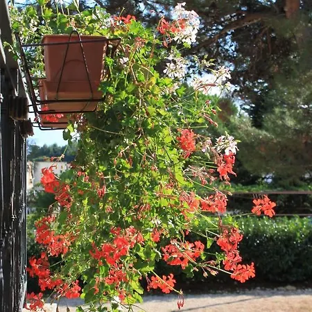 With Parking Space - 7042 Διαμέρισμα